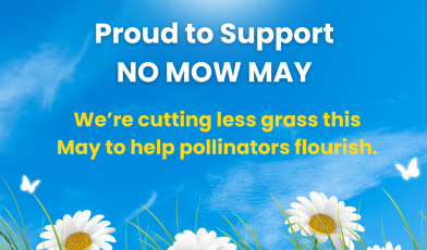 Proud To Support NO MOW MAY